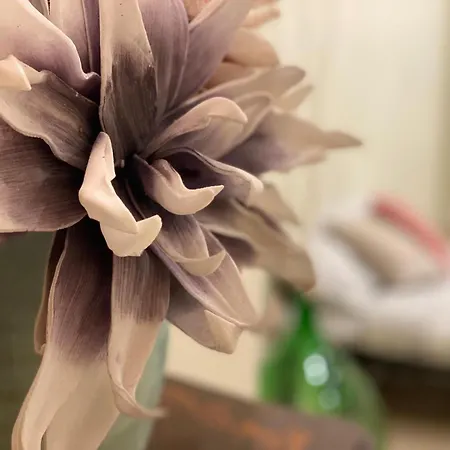 Apartamento La Casa Oltre Il Parco Roma